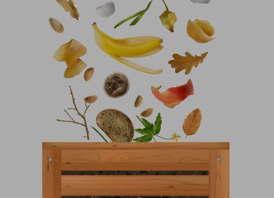 Realistic compost composition with front view of wooden pallet box with falling vegetable peel dead leaves vector illustration